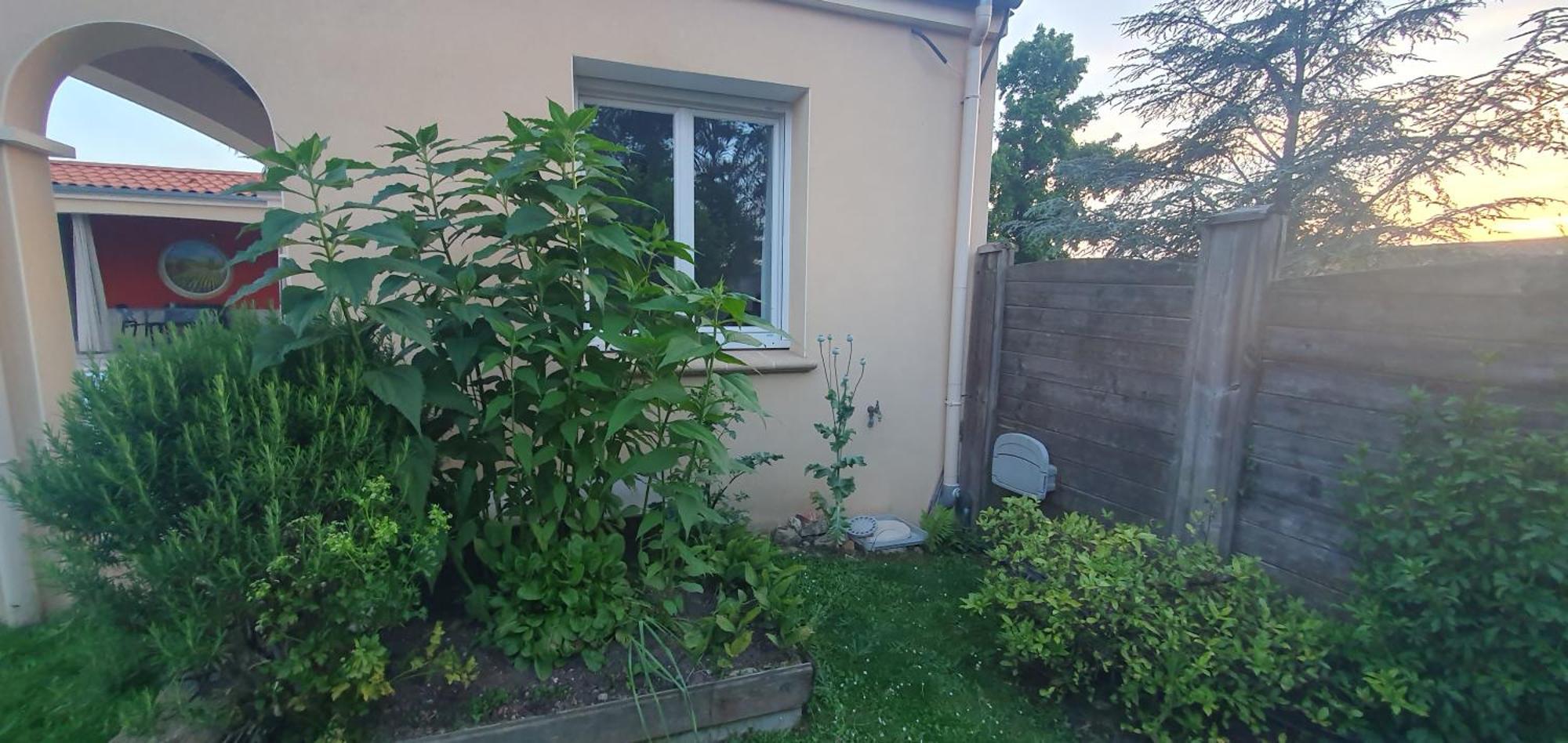 Gite Calme #2 Ou 3 Pers #Piscine #Cholet #Wifi Haut Debit #Travailleurs Thales Lacroix Et Autres Entreprises #Petits Dejeuners Et Repas Possibles Sur Demande Le May-sur-Evre Экстерьер фото